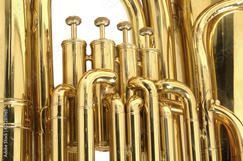 Photo: tuba tuba