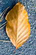 A golden leaf A golden leaf
