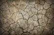 Dry cracked earth texture.
