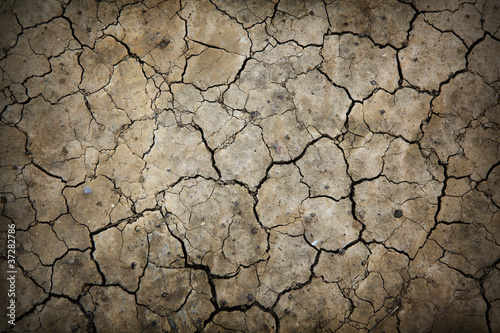 Photo: Dry cracked earth texture. Dry cracked earth texture.