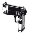 Gun