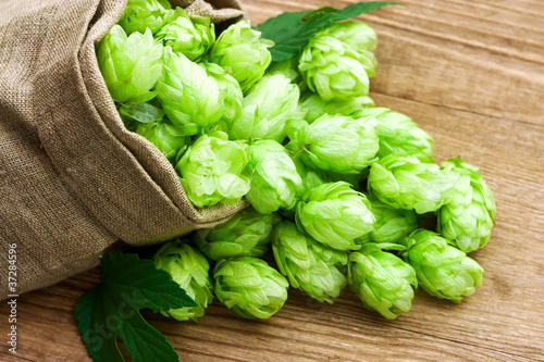 Photo: Hop in a burlap bag on wooden background Hop in a burlap bag on wooden background