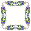 Flowers Frame