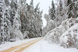 winter road