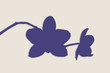 Orchid Branch Silhouette