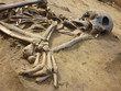 Skeleton of ancient man found during excavations in the flood zo