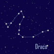 The constellation "Draco" star in the night sky. Vector illustra