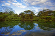 Nature in Guanacaste