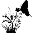 butterfly on wild flower silhouette butterfly on wild flower silhouette