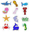 fauna marina
