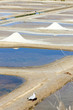 saline, Port des Salines,Oleron Island,Poitou-Charentes,France