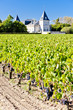 vineyard and Chateau Tronquoy Lalande, Saint-Estephe, Bordeaux