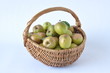 pommes d'Auvergne de variété 'Armoise'