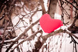 Red heart on snow tree