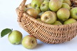 pommes d'Auvergne de variété 'Armoise'