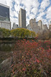 Central Park Central Park