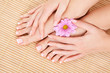 care for beautiful woman legs