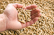 wooden pellet .ecological heating