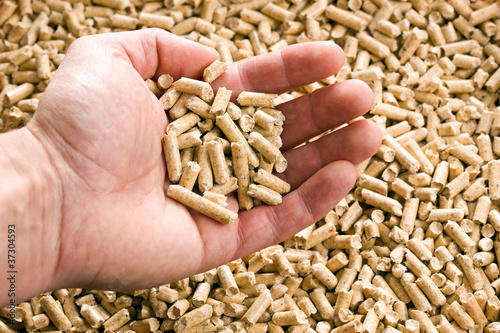 Photo: wooden pellet .ecological heating wooden pellet .ecological heating