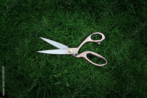 Photo: scissors laying on grass scissors laying on grass