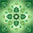 Ornamental design