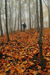 Uomo in un bosco nebbioso