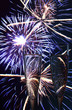 Sektglas und Feuerwerk