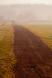 Photo: Couple walk in the mist Couple walk in the mist