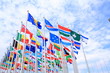 Photo: The world national flags The world national flags