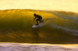 Sunset Surfer Sunset Surfer