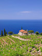 Idylle auf der Urlaubsinsel Elba