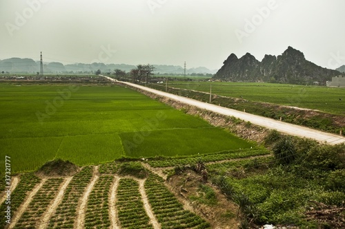 Photo: Road in Ninh Binh Road in Ninh Binh