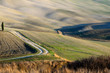 Crete Senesi