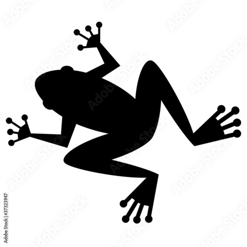 Illustration: Frosch Frosch