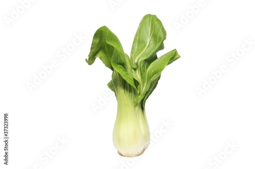 Foto: Chinese cabbage Chinese cabbage