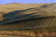 Crete Senesi