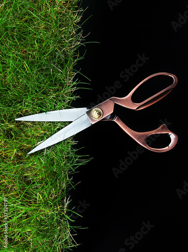 Foto: scissors cutting grass scissors cutting grass