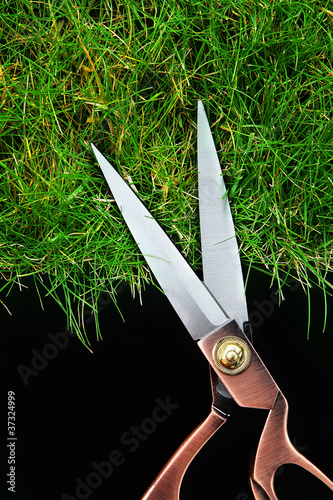 Foto: cutting grass blades cutting grass blades