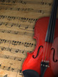 Violine Geige