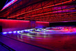 motion dodgems