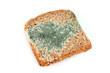 Verschimmeltes Brot