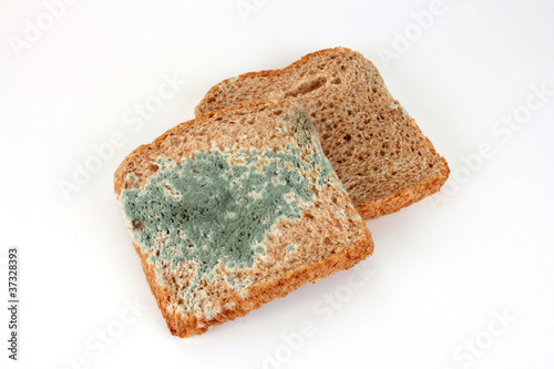 Photo: Verschimmeltes Brot Verschimmeltes Brot