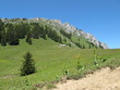 randonnée mont Ouzon randonnée mont Ouzon