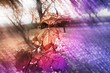 autumn background autumn background