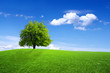 Green dreams