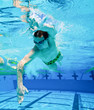Swimmer in the Pool