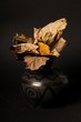 vase and leaves isolated on black background