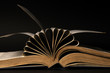 pages of dictionary isolated on black background