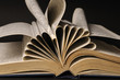 pages of dictionary isolated on black background