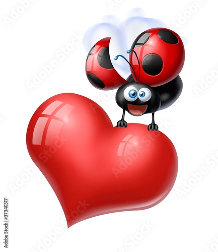Illustration: cuore coccinella cuore coccinella